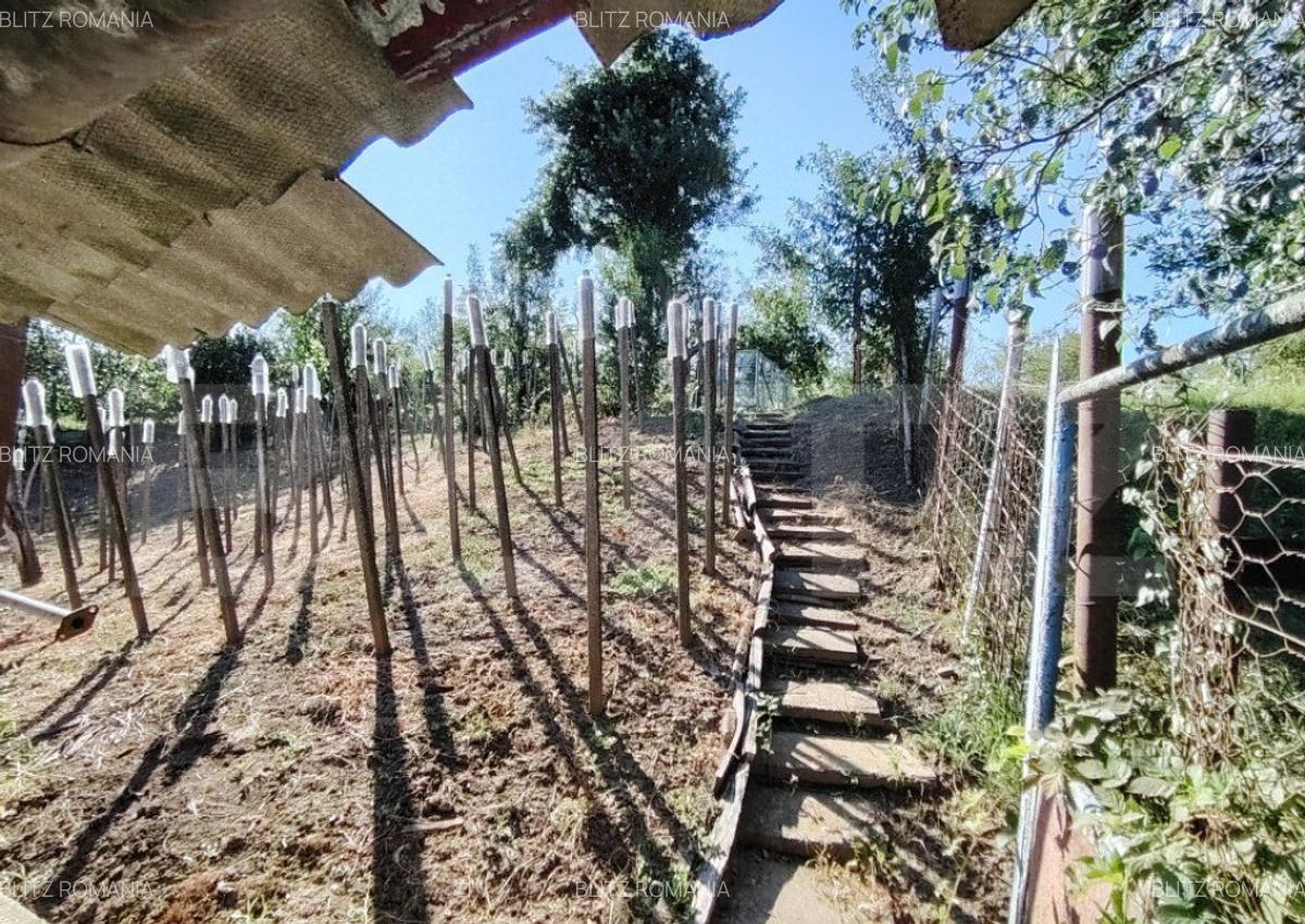 Casa tradi?ionala cu 3 camere, teren mare ?i gradina i - 18