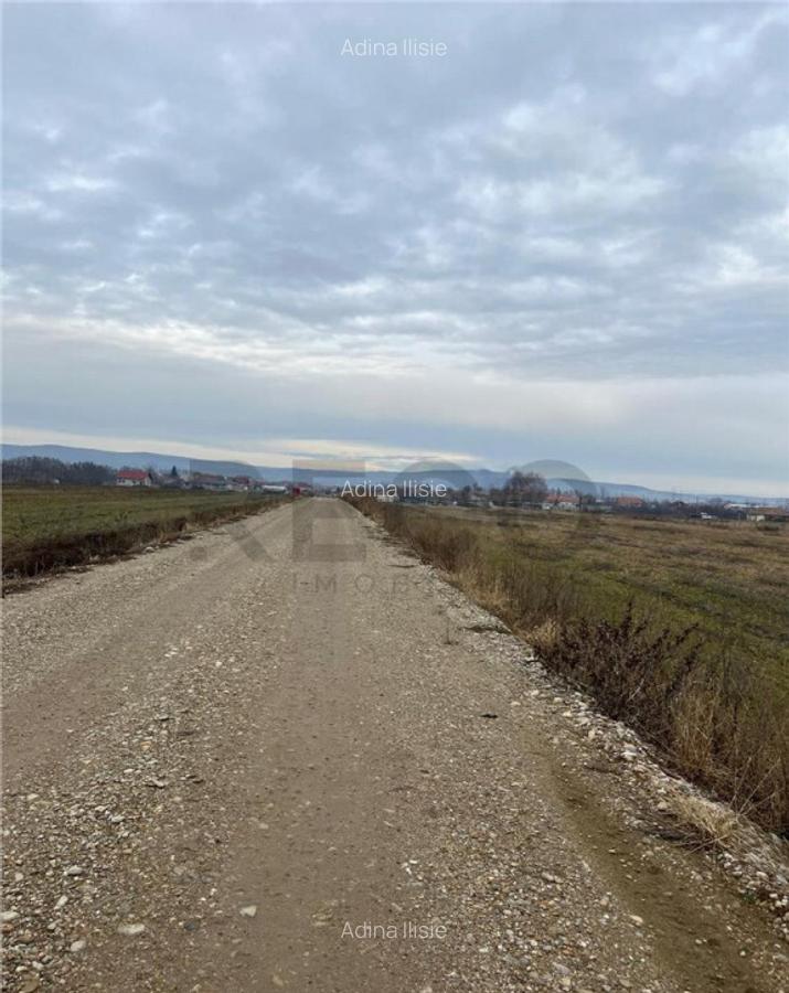 RECO Teren intravilan cu PUZ in Osorhei - 5