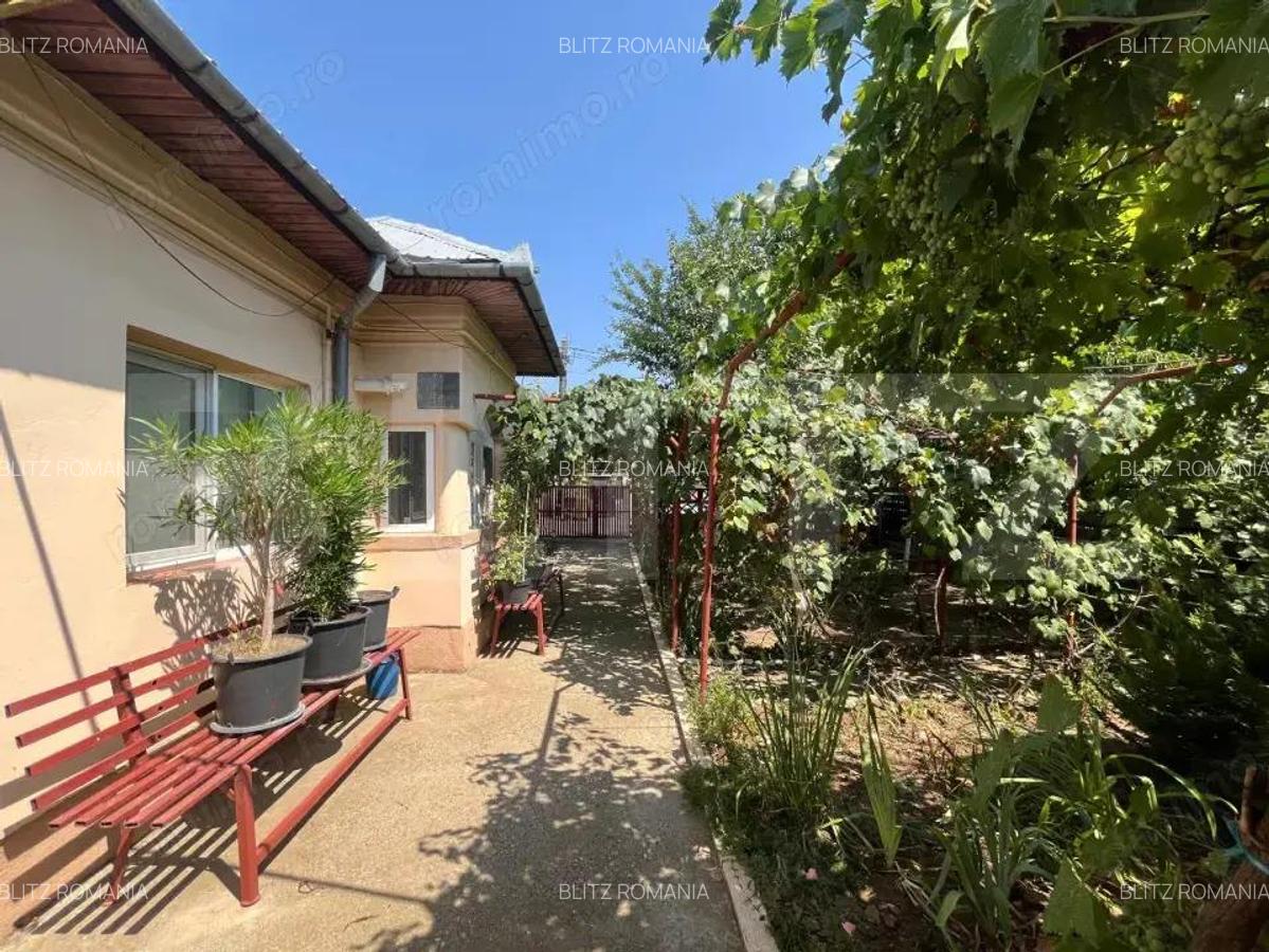 Proprietate formata din doua case si 1087 mp teren, zona Carcea - 1
