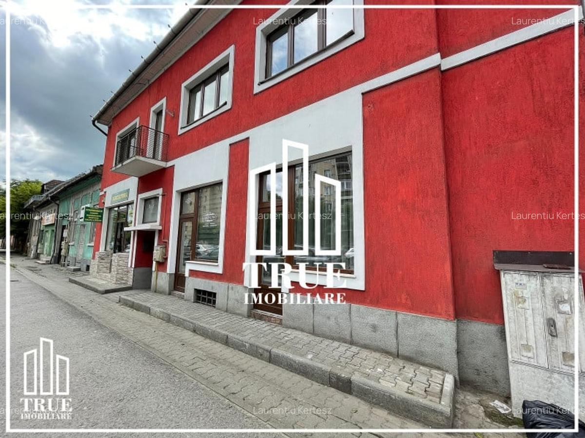 Ap. cu 2 camere 55m² + 120m² curte, 1.3km de UMFST! - 13