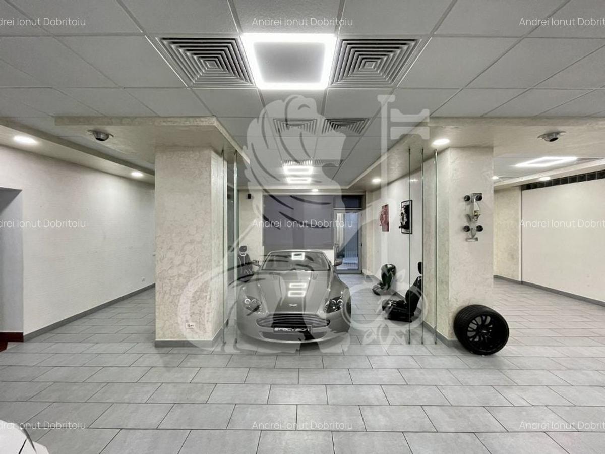 Showroom | 300 mp | Baneasa, Aviatiei - 10