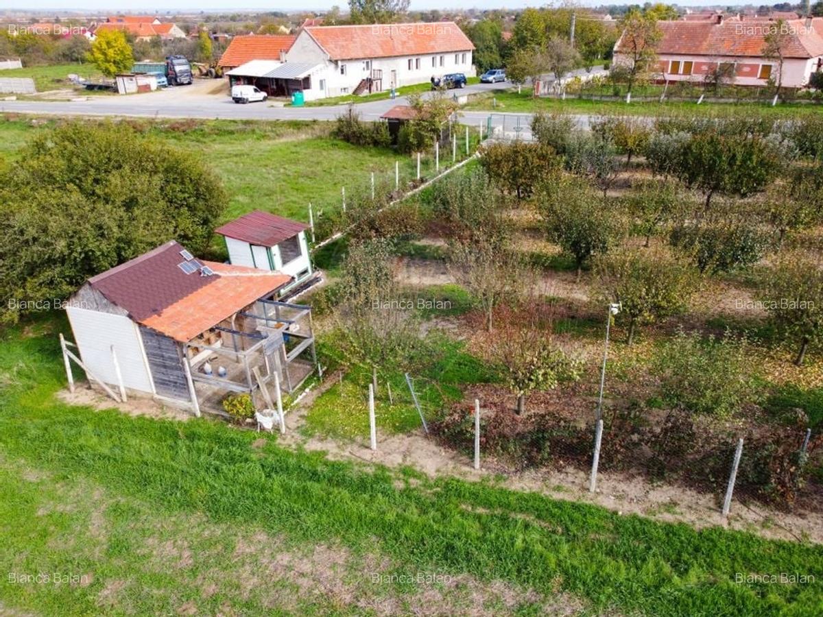 De vanzare teren cu livada in Sarbova! - 10