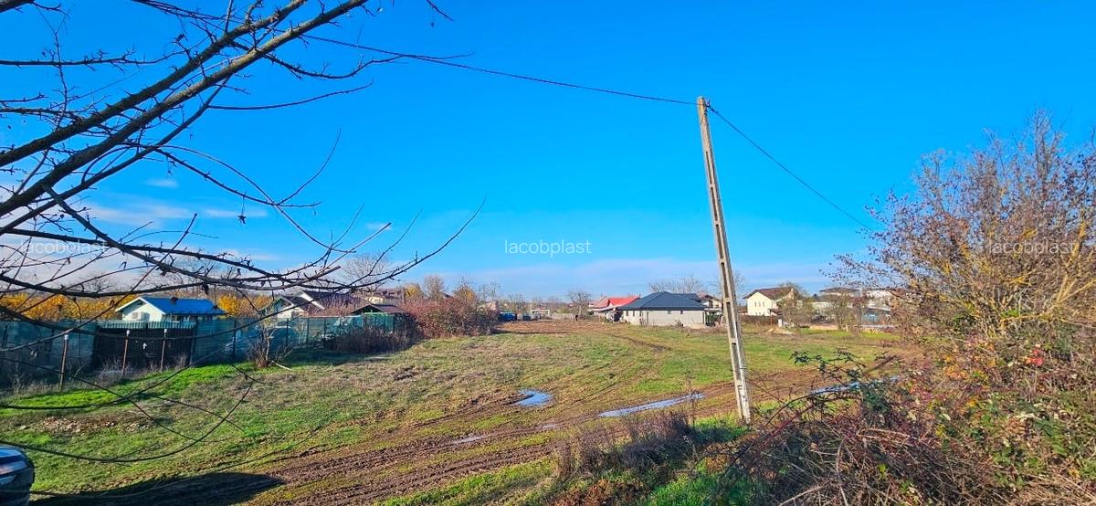 Teren de vanzare Snagov - 11