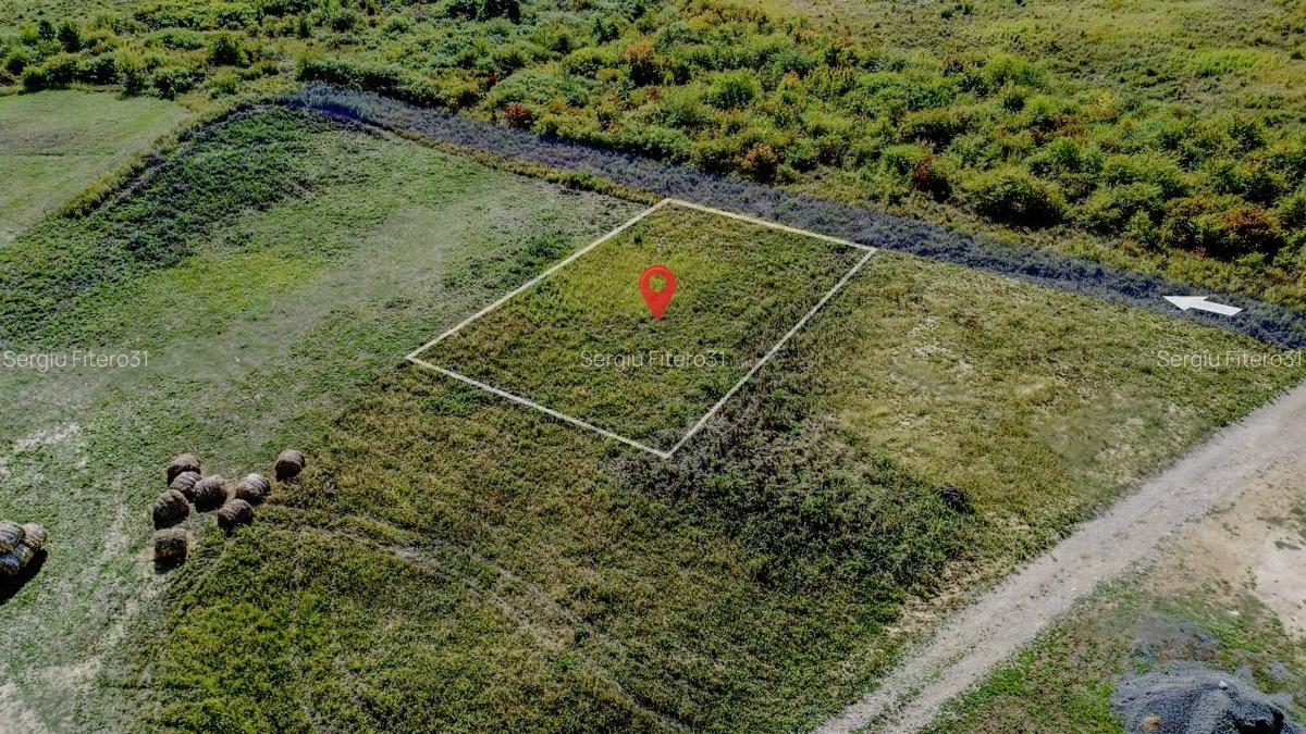 Teren intravilan de vanzare - 902 mp, Paleu, Bihor | PUZ aprobat - 10