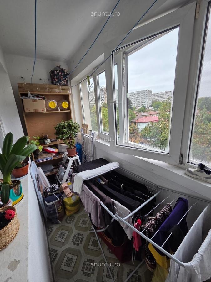 Baba Novac, Campia Libertatii - 8