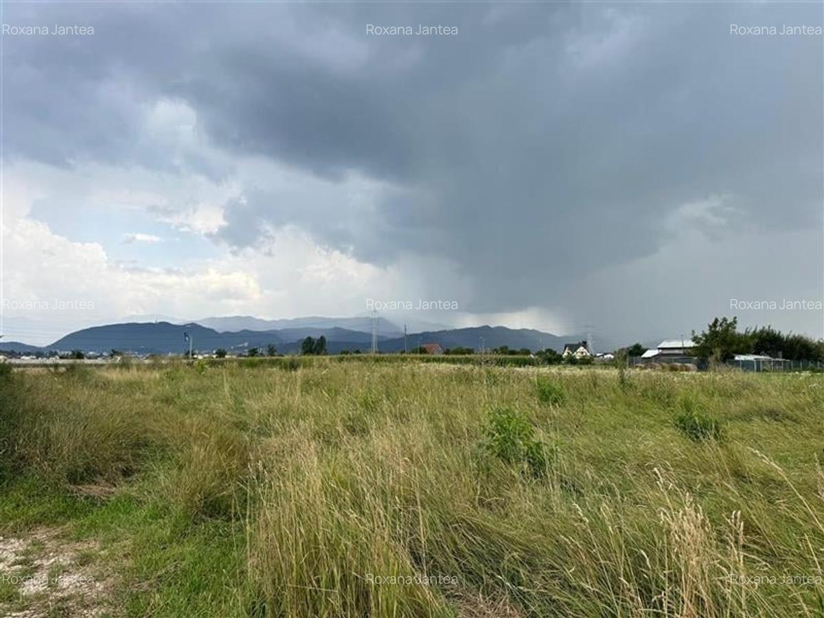 Teren intravilan 515 mp cu PUZ, Stupini, Brasov - 7