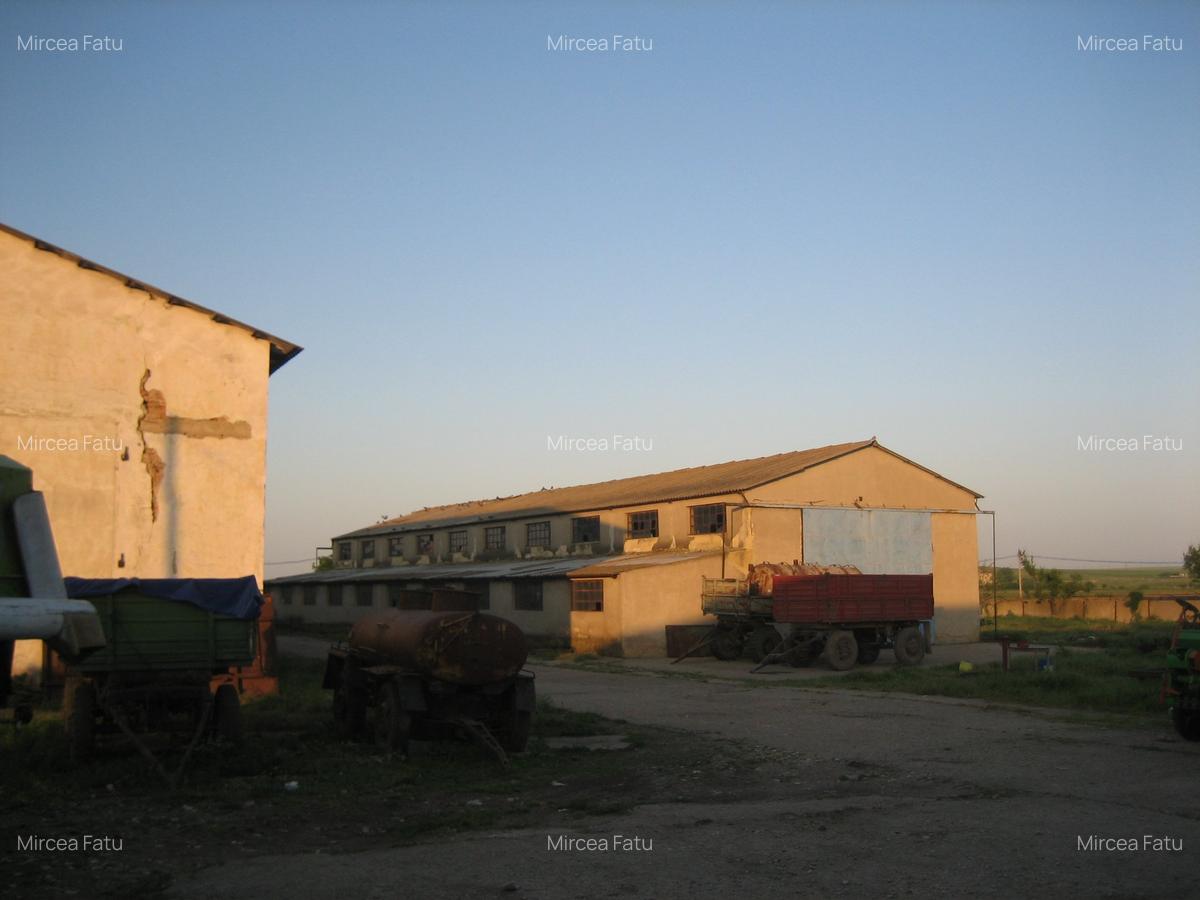 Teren Construcții intravilan de 14613 mp, în Poarta Albă - 11