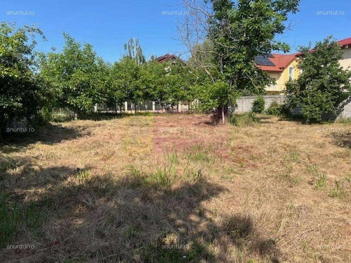 Teren Clinceni- Putul Olteni- Crizantemelor - 8