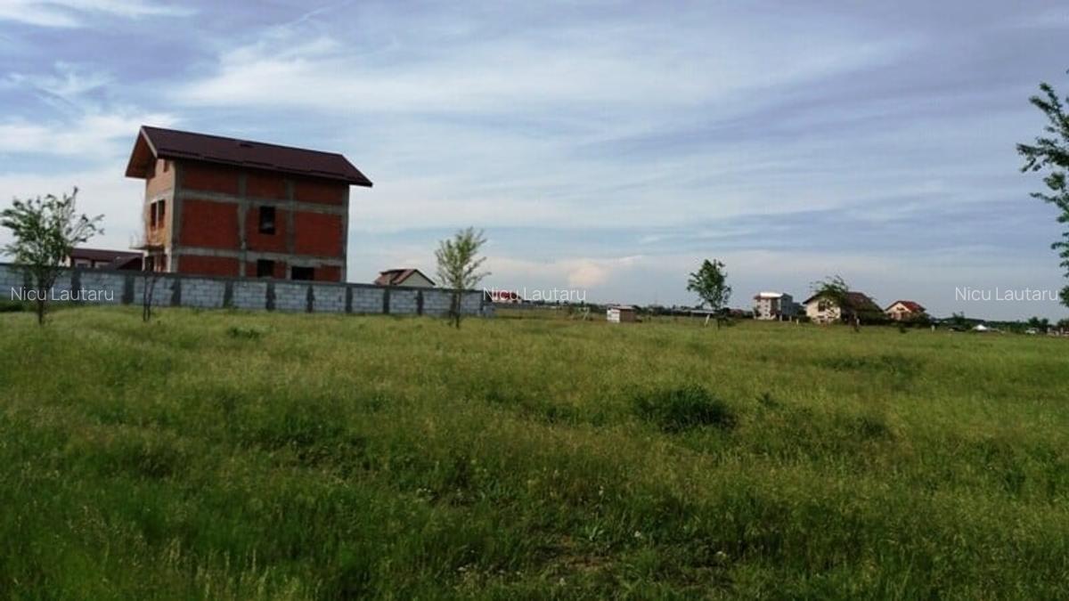 Vanzare Teren intravilan Magurele  3000mp - 5