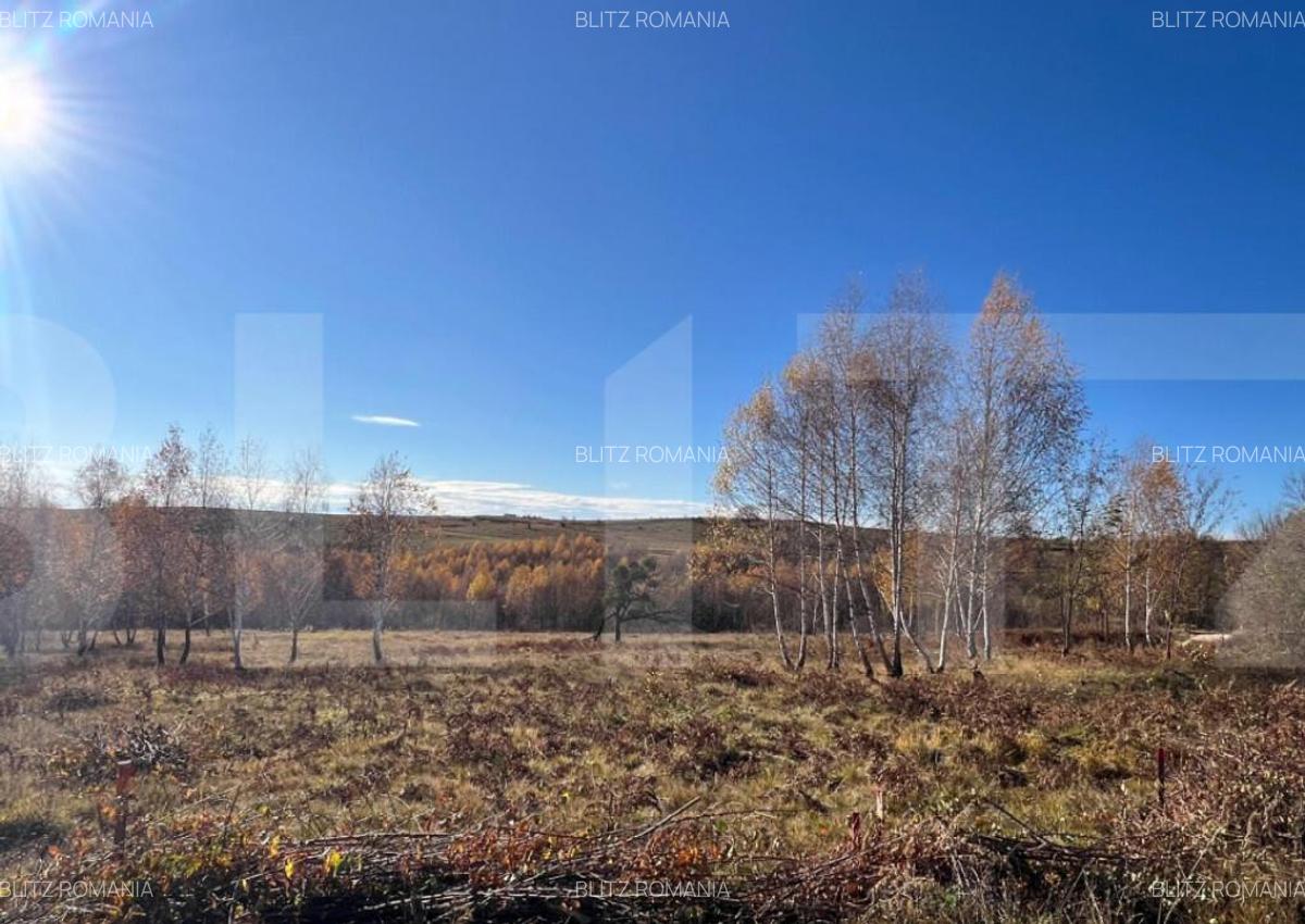 Teren construibil de vanzare, zona casele Micesti - 2