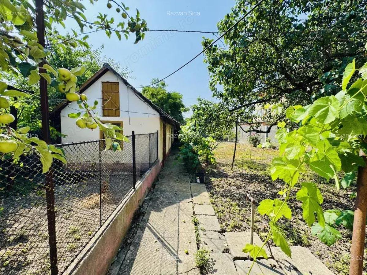 Casa 3 Camere - loc. Ciacova - 0% Comision - 17
