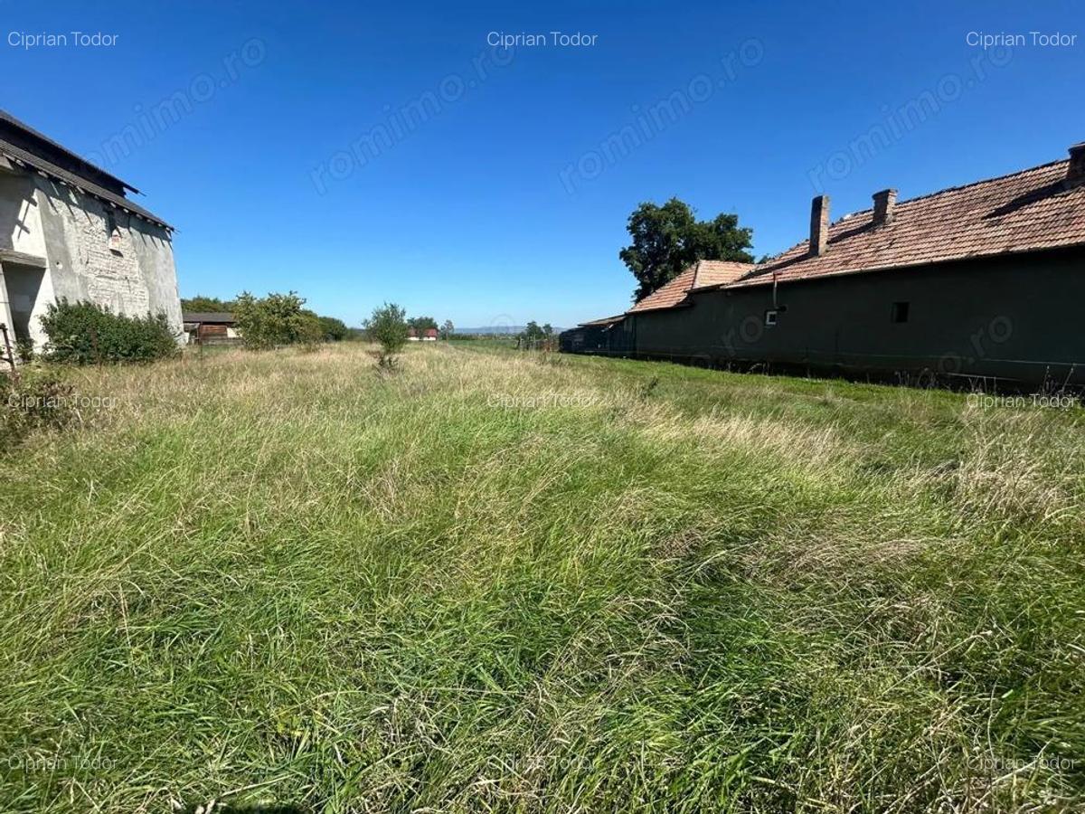 Teren intravilan, 5700mp - Teius - 4