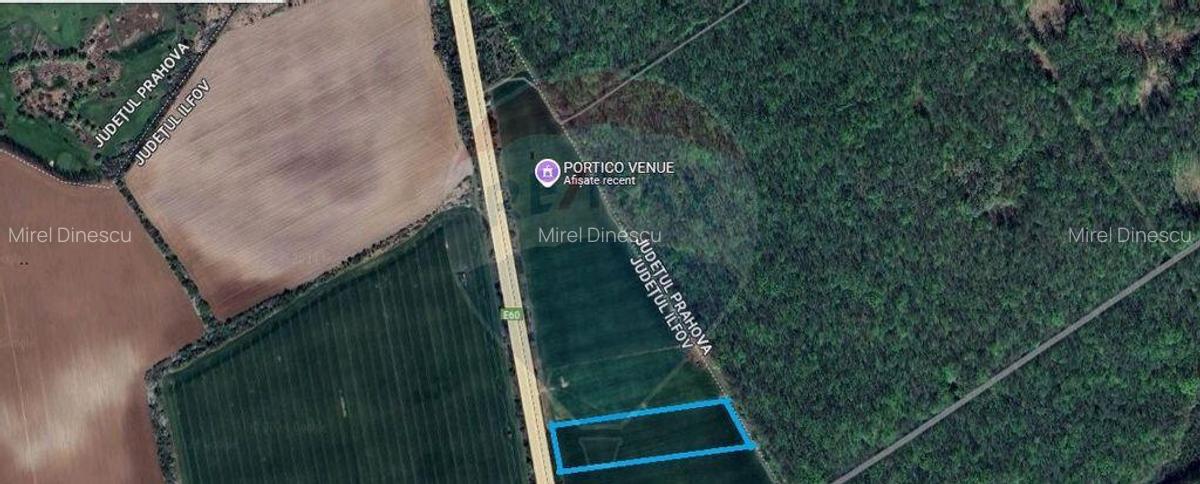 Teren Ciolpani 6000 mp DN1 PORTICO VENUE - 4