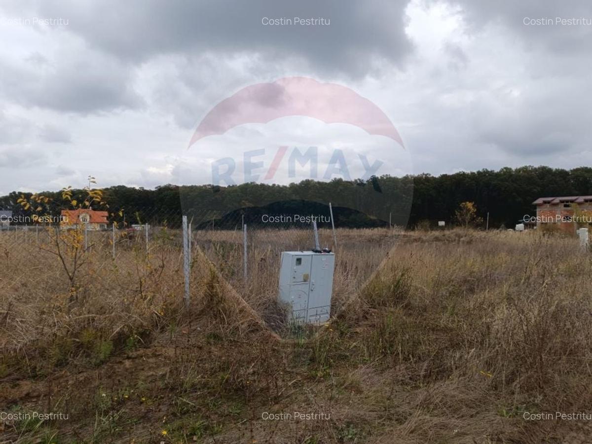 Teren 1,500mp Ghermanesti / Strada Cetatea neamtului - 9