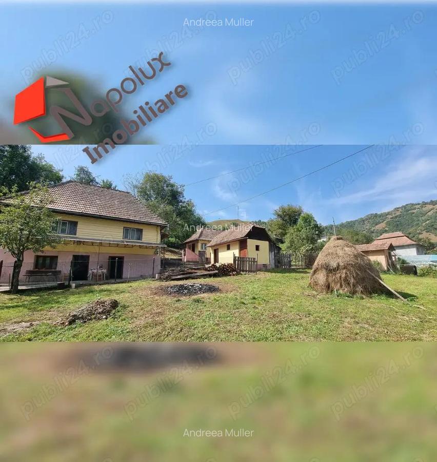 Casa deosebita in zona turistica pitoreasca Valea Ariesului - 5