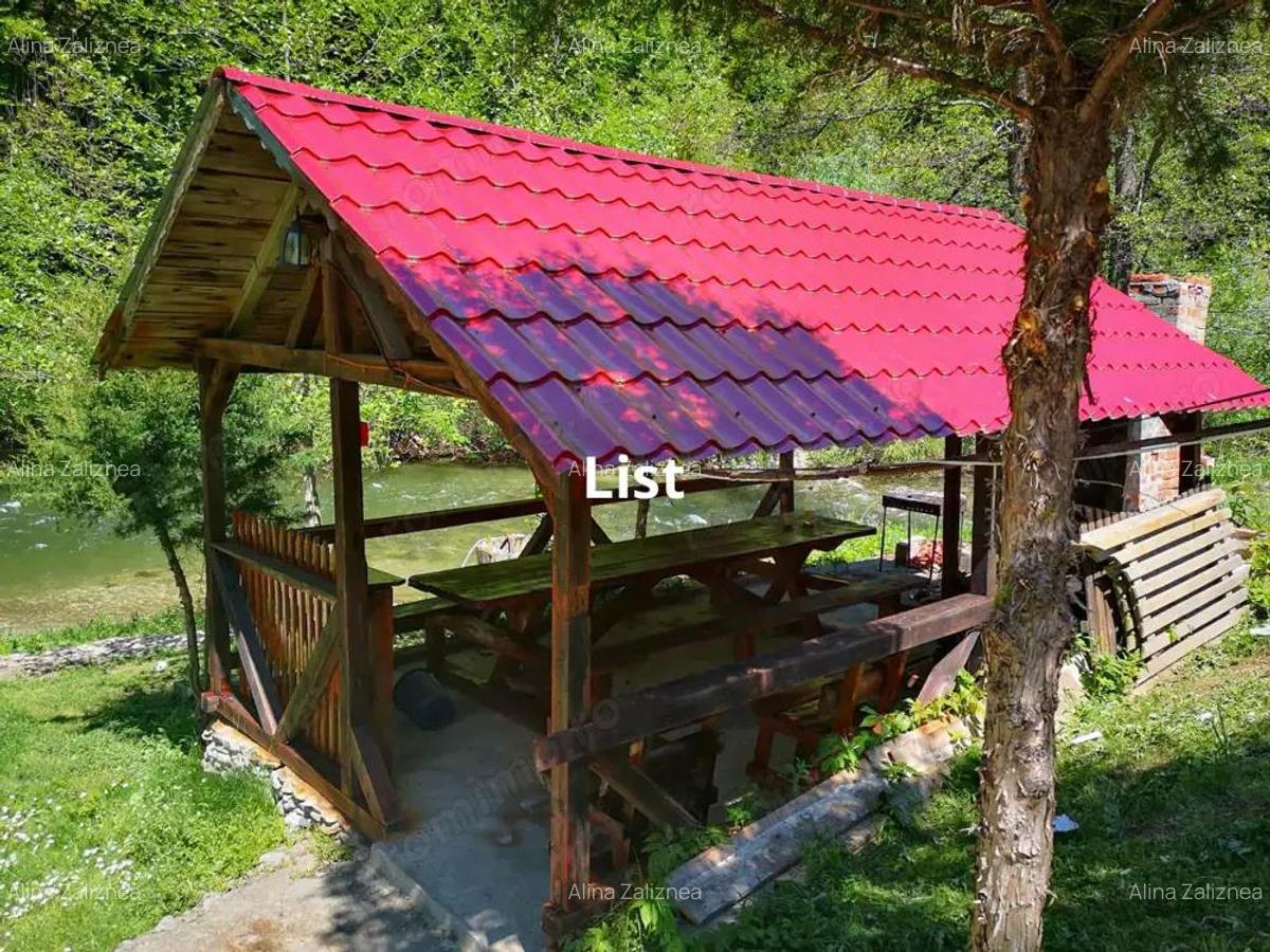 Casa de vacanta perfecta pe malul Cernei - 4