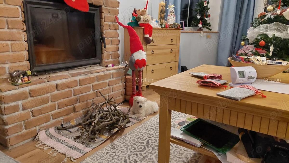 Casa Poiana 5 camere constructie 2022 - 4