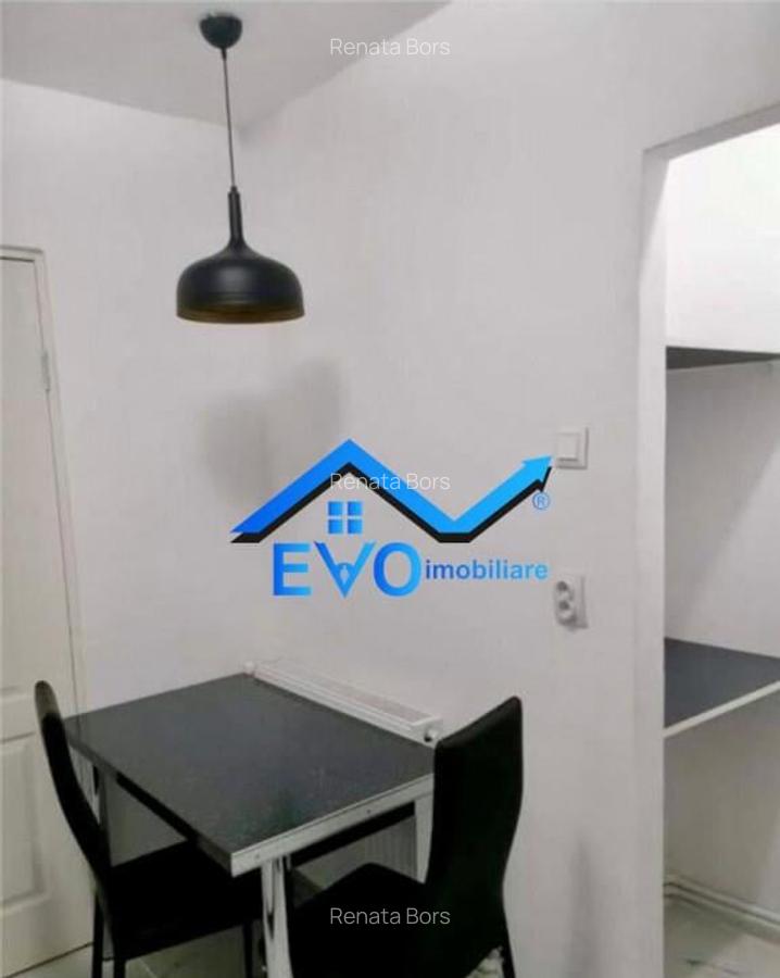 Apartament cu 2 camere de inchiriat, parter, zona Cantemir - 5