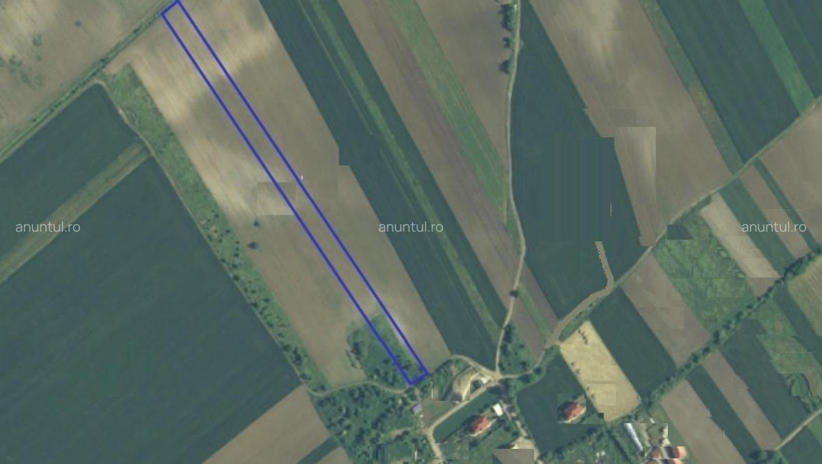 Darza, teren intravilan, 1ha langa case, deschidere 22 m - 4