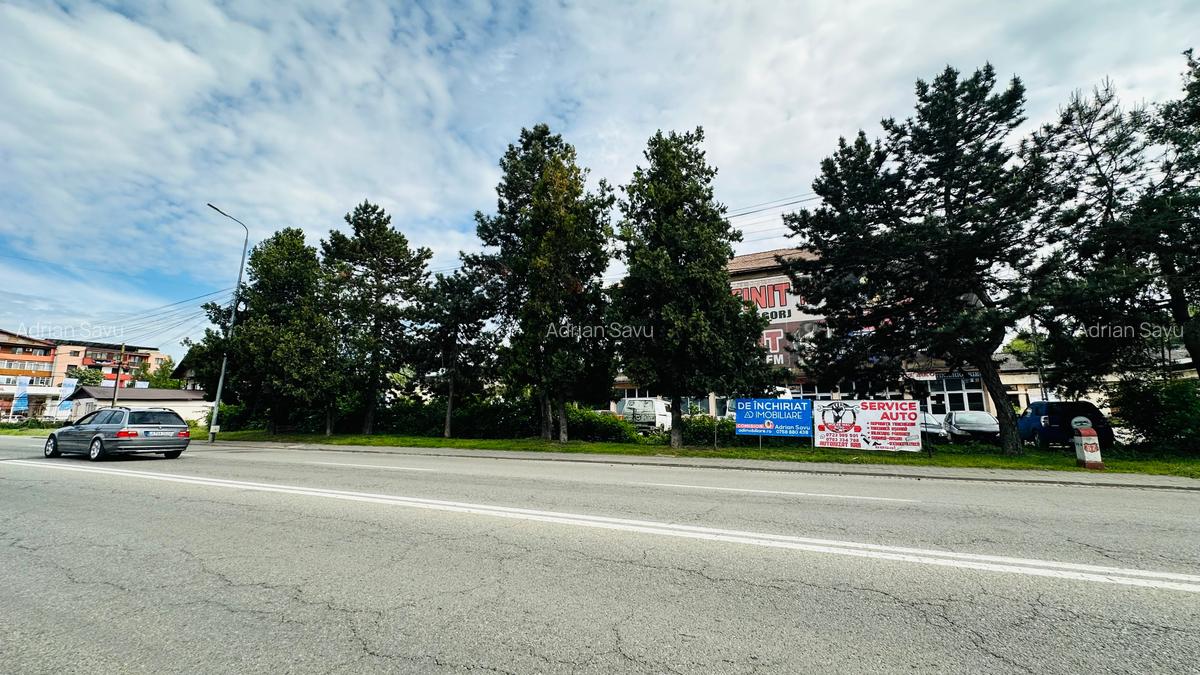 Teren intravilan / hale  >  de închiriat situate pe  Calea București , Târgu-Jiu - 2
