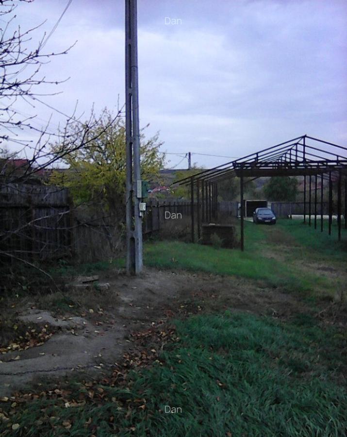 Proprietati-sat Radeni, com. Roscani, jud. Iasi teren 3000mp - 1