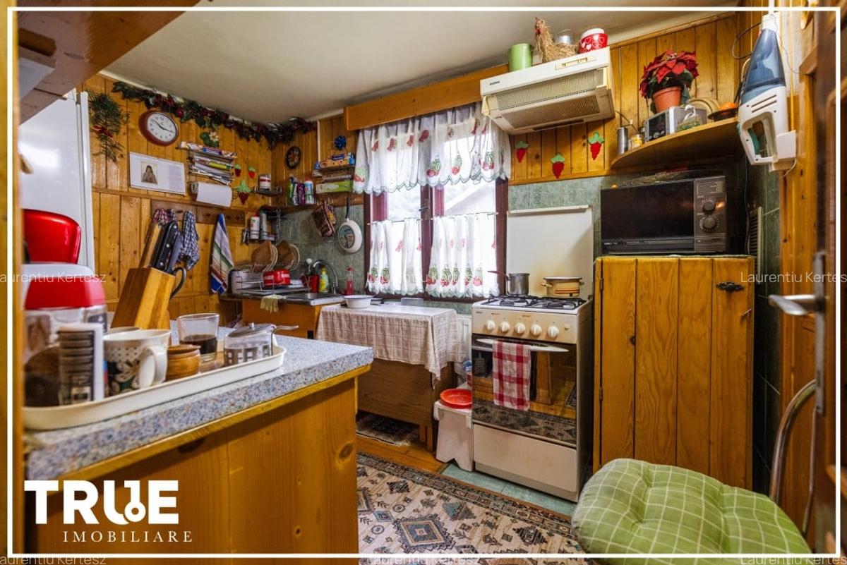 Cabană de vânzare, 95m? utili, teren 1276m?, Sălard! - 6