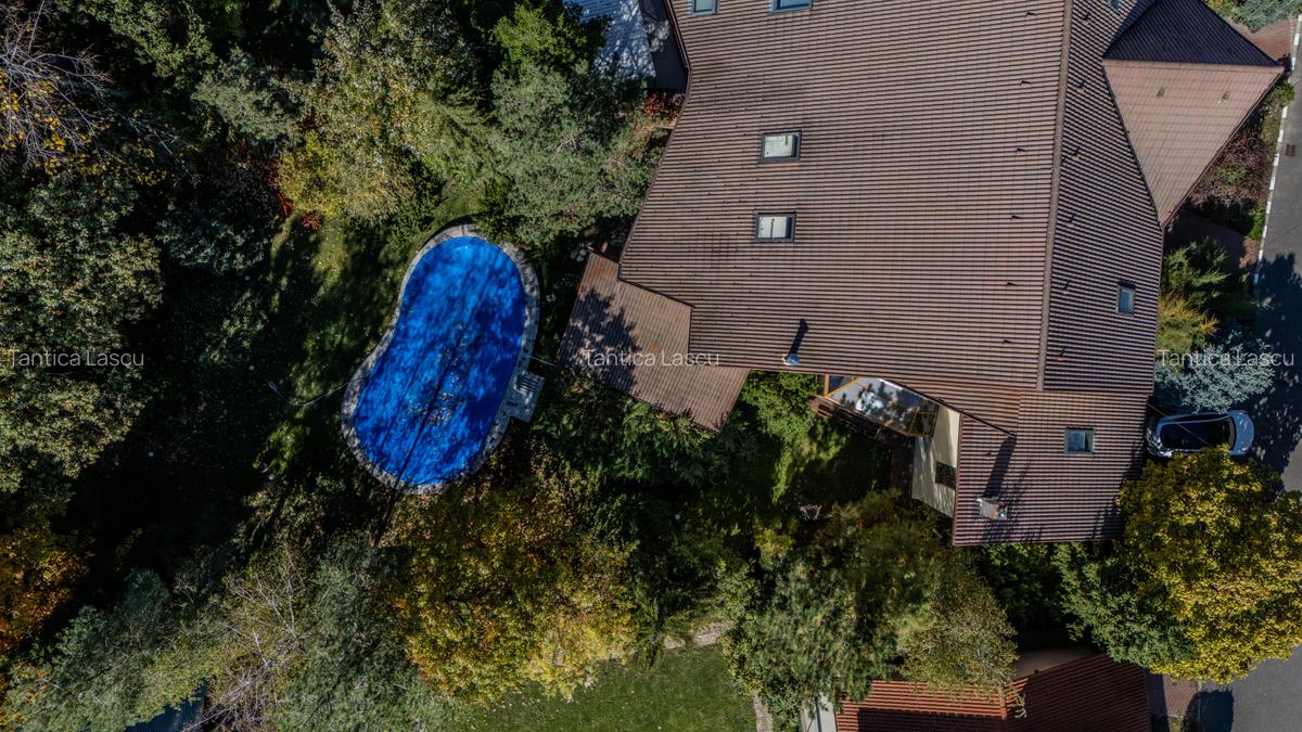 Promotie -  vila langa padure cu piscina-Paradisul Verde - 54