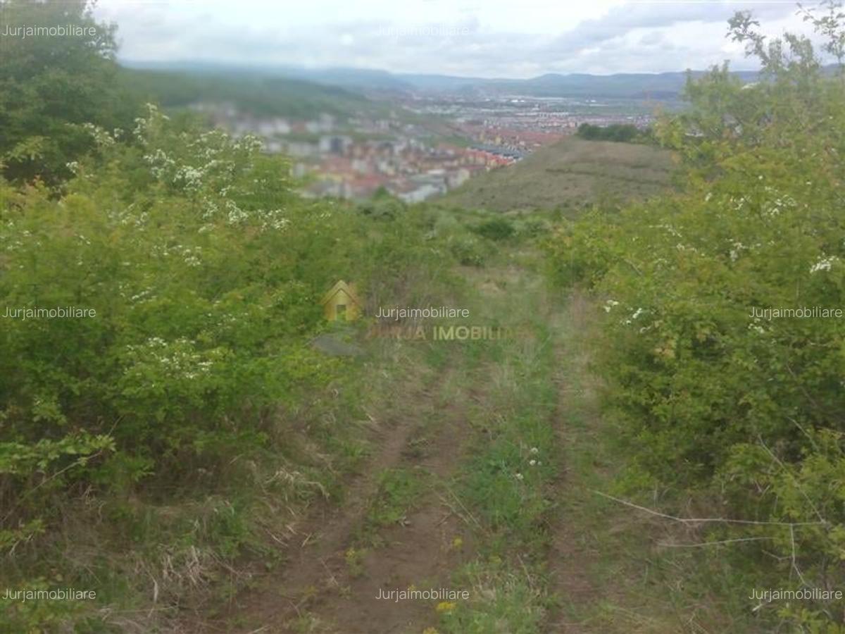 Teren extravilan 3640 mp Strada Stejarului - 3