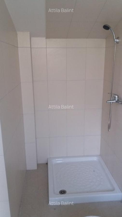 Casa Braytim- LIDL nemobilata 160000 euro+TVA - 6