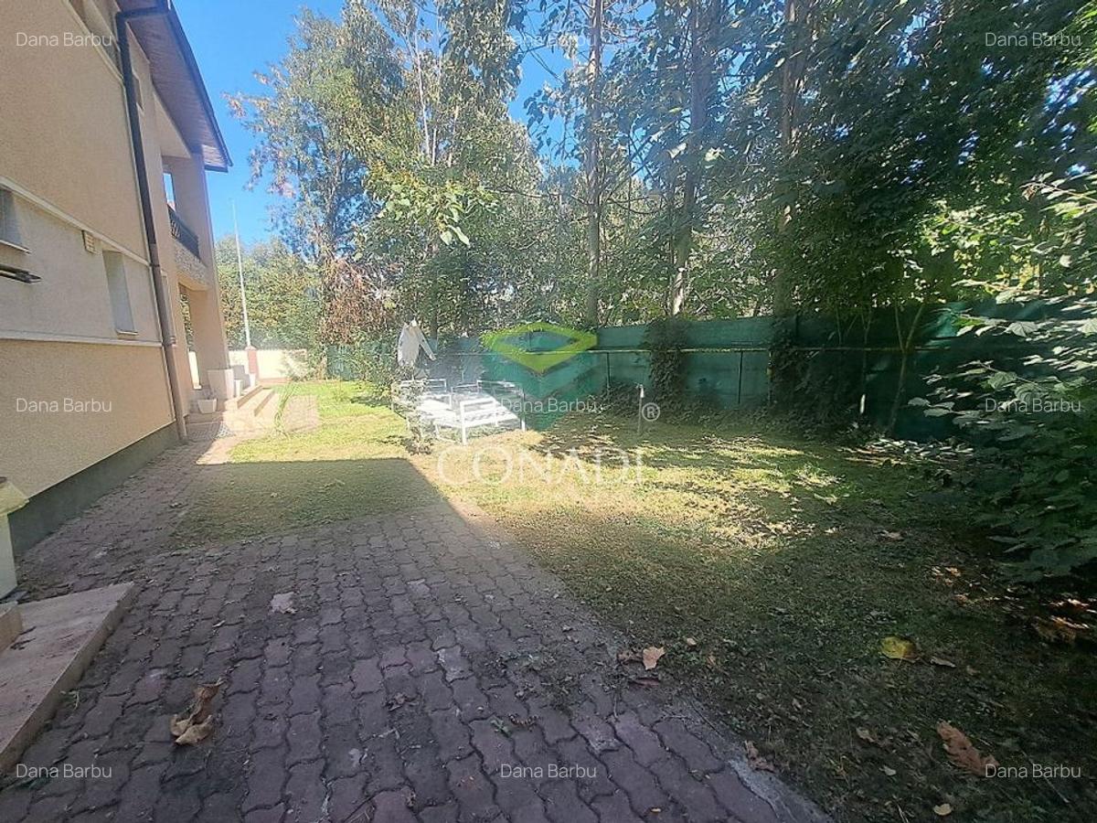 Zona Iancu NIcolae, vila de inchiriat, 255 mp utili - 12