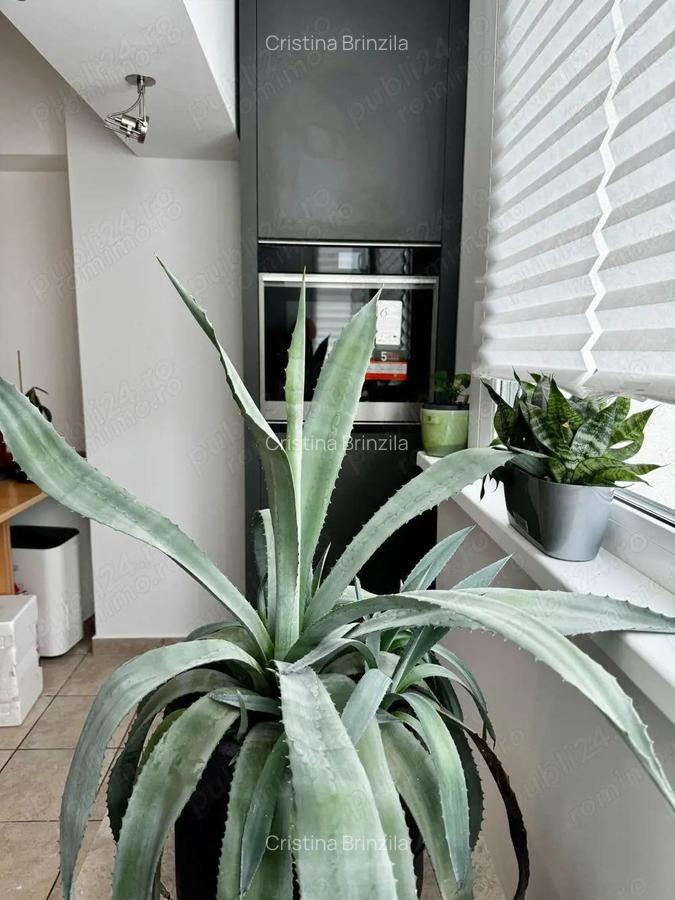 Garsoniera premium 40 mp, zona Arcul de Triumf, vedere spre gradina - 7