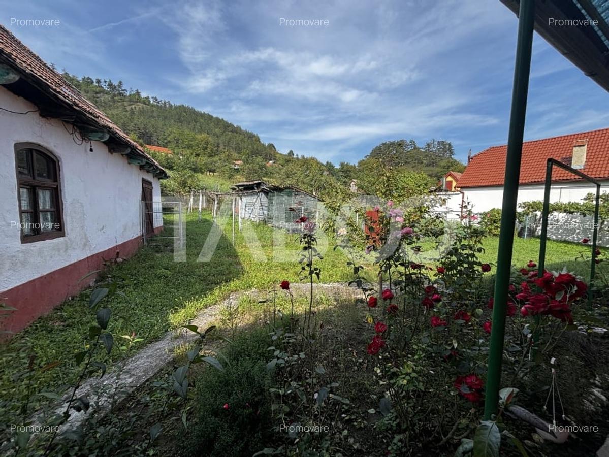 Casa saseasca de vanzare + bonus doua terenuri Seica Mare Sibiu - 6