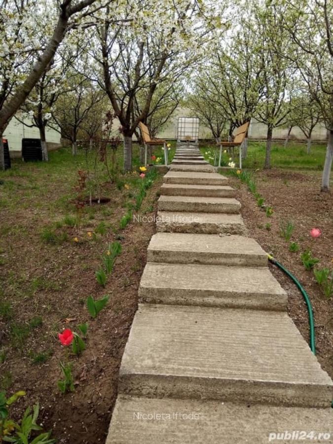 Teren intravilan 500 mp Rediu la 150 ml de soseaua principala. - 3