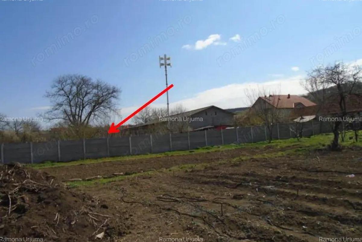 Teren intravilan Loc. Spini, comuna Turdas, jud. Hunedoara - 3