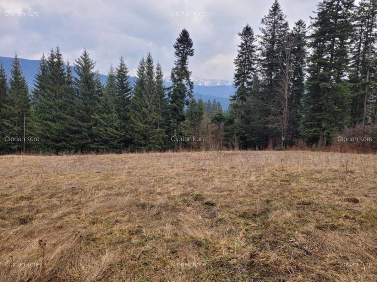 Teren Construcții intravilan de 510 mp, în Palanca - 3