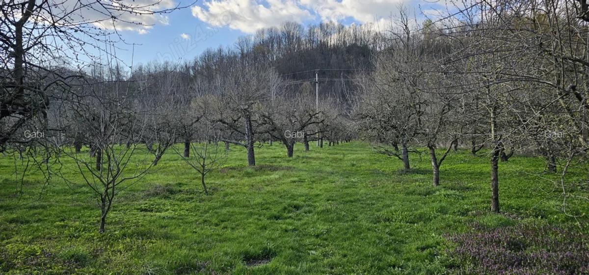 Case + teren de vanzare - 9 Case + teren de vanzare - 9