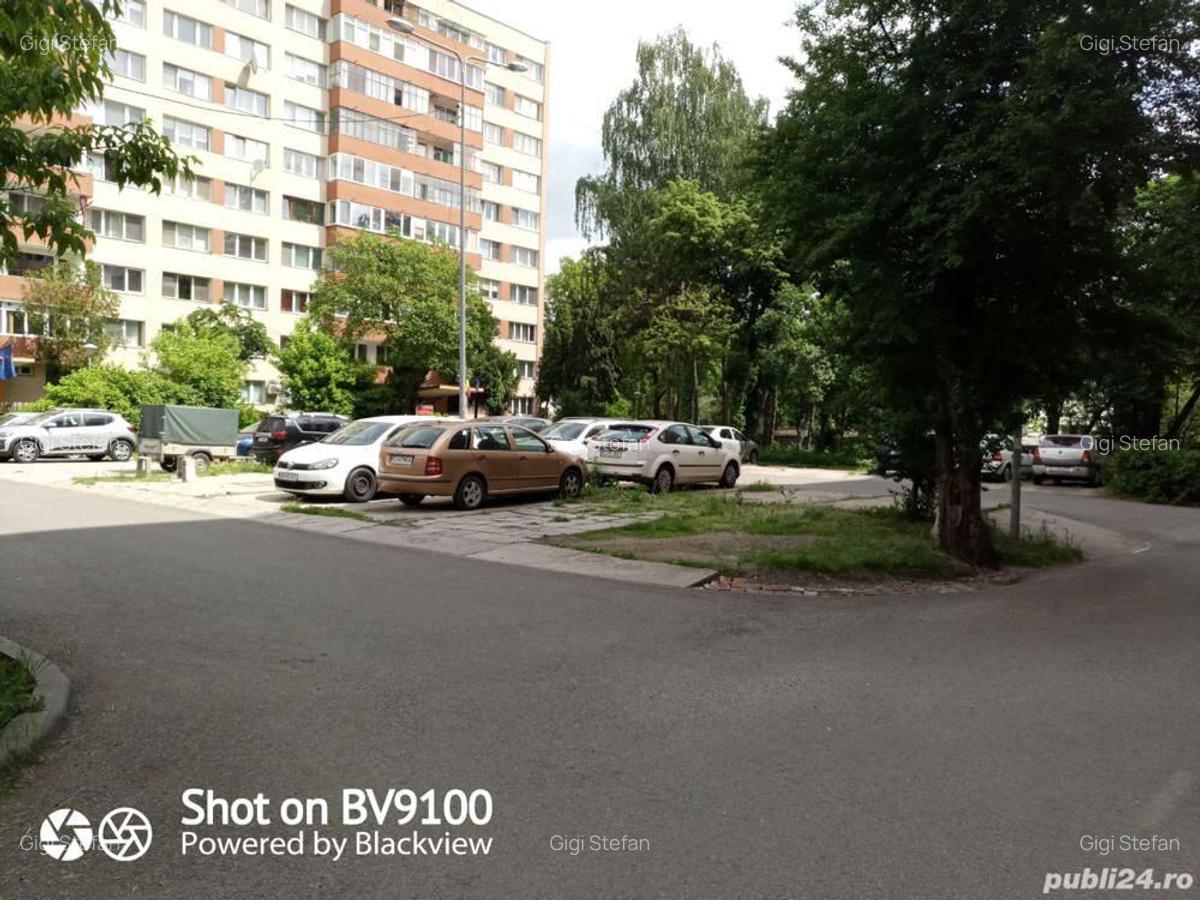 969mp Grigorescu - 5
