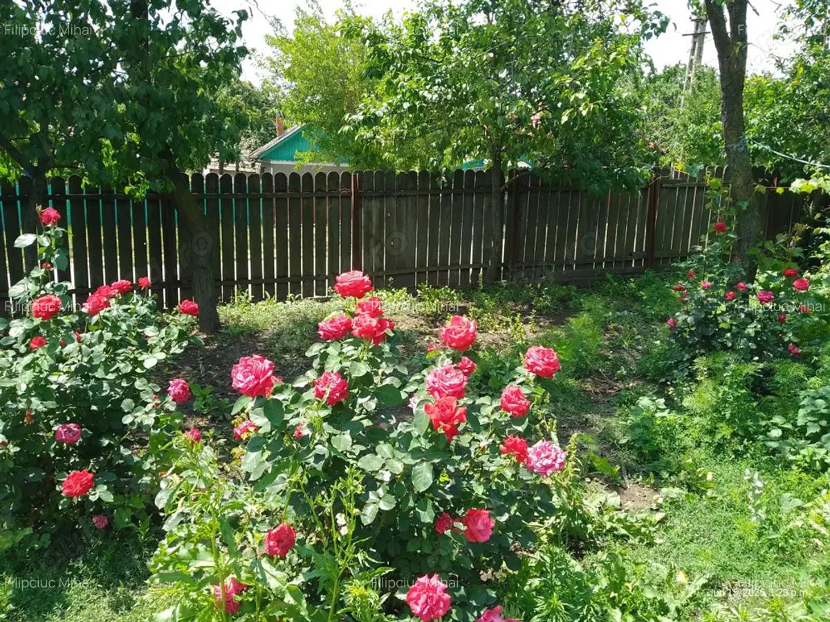 Casa batraneasca la tara - 7