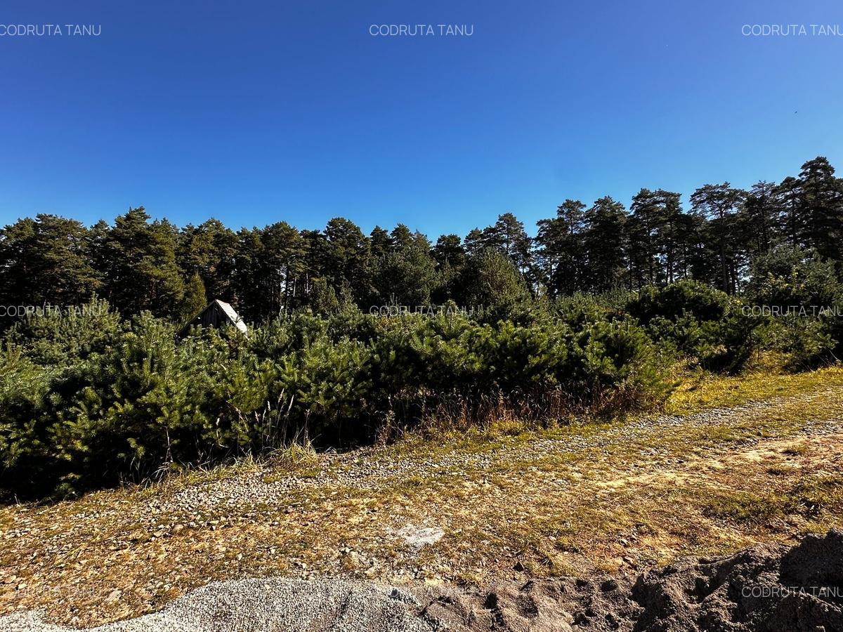 0% Comision- Teren cu constructie, langa padure-600 mp, Purcareni - 8