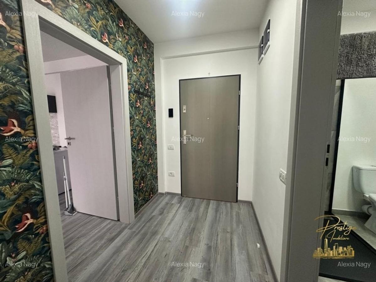 Apartament cu 2 camere decomandat, mobilat în Băile Felix - 9