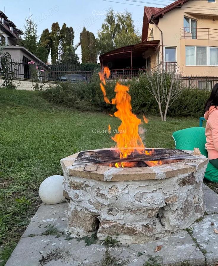 Vila exclusivista cu gradina de inchiriat in Cluj-Napoca, cartier Borhanci - Strada Rozmarinului - 9