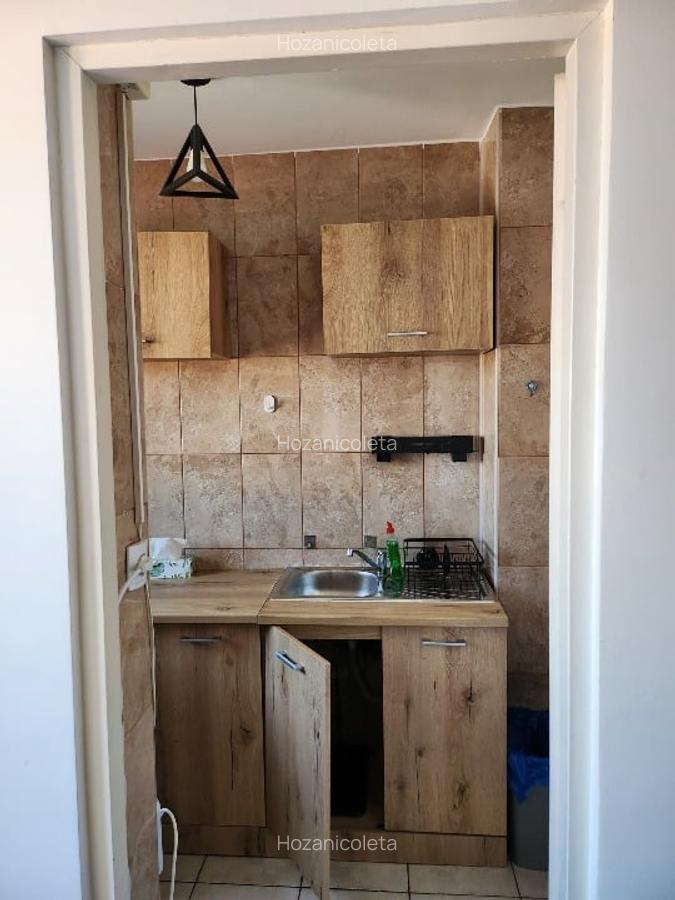 Garsoniera 33mp - Lujerului (p-ta veteranilor), 1.700 lei/luna - 8