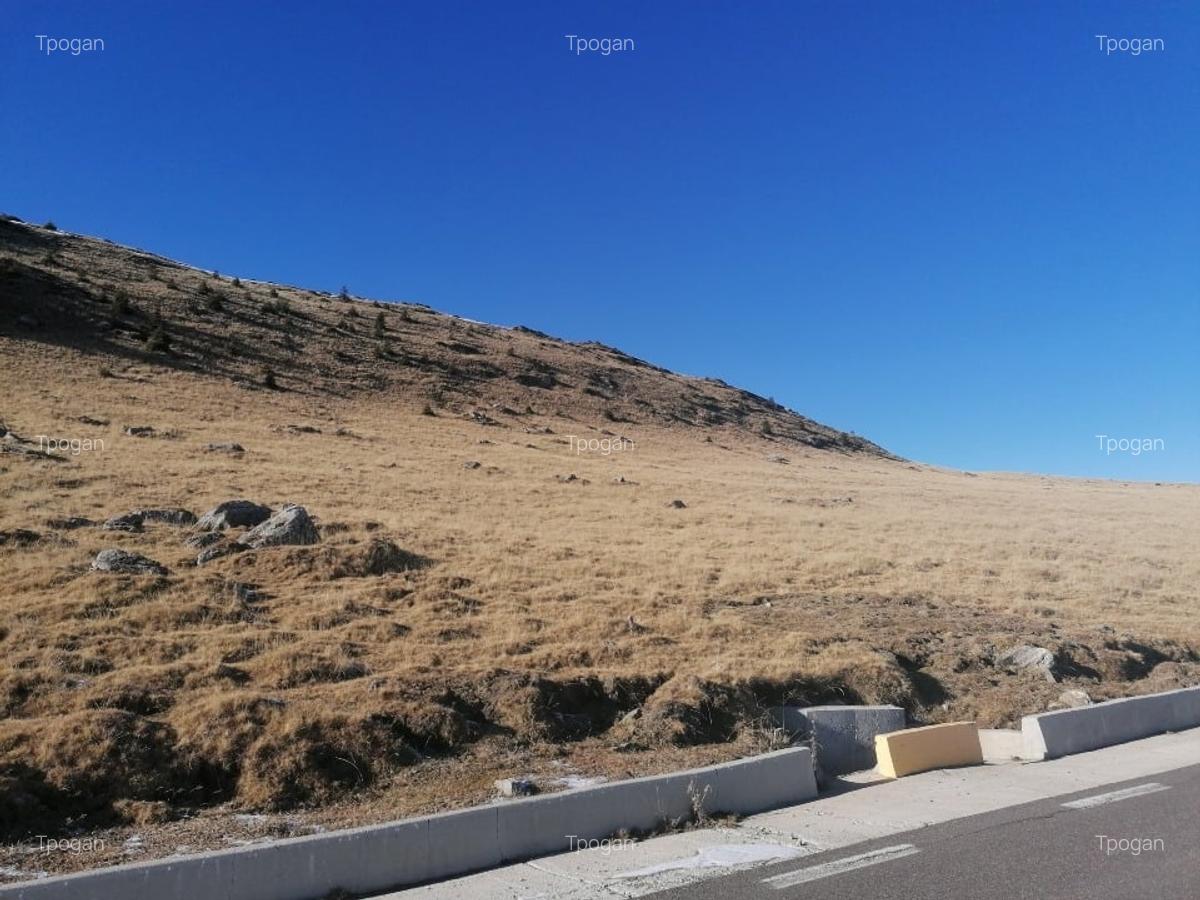 Platoul Bucegi zona Blana 2500mp intravilan construibil - TransBucegi - 13