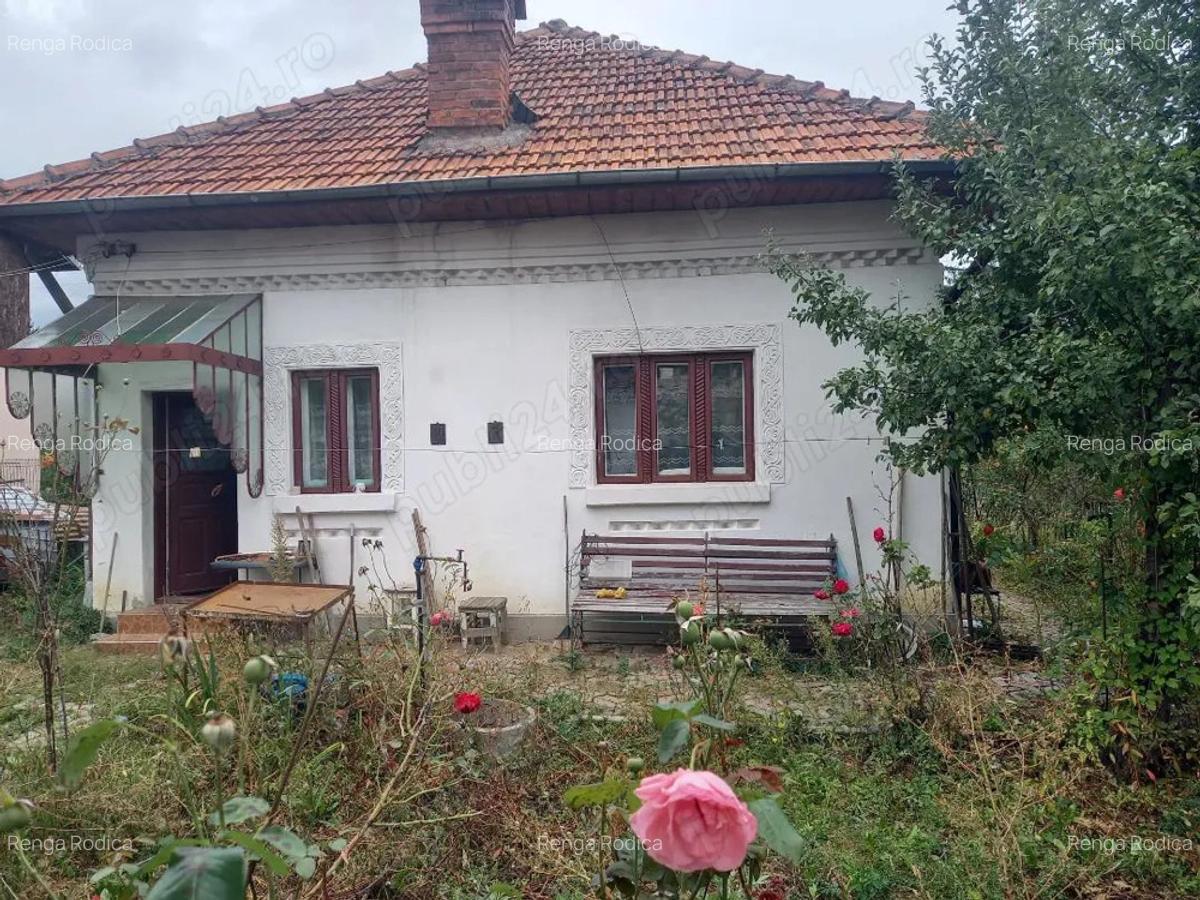 Casa Campulung - 7