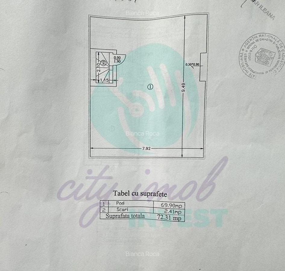 Casa in Vatra Luminoasa cu o curte generoasa - 17