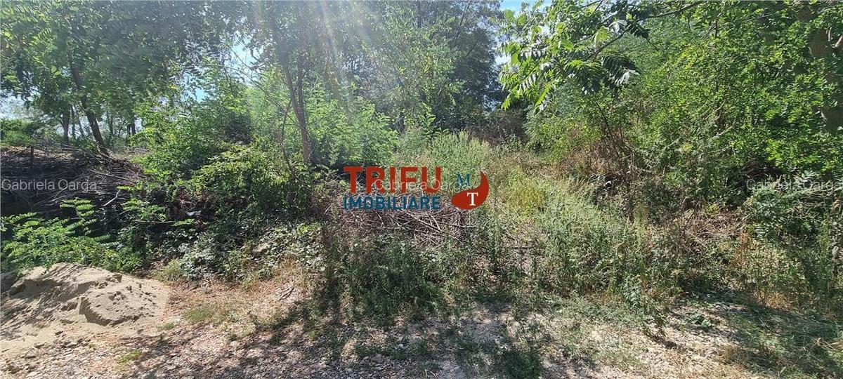 Teren intravilan de vanzare pe Valea Popii 1250mp - 1