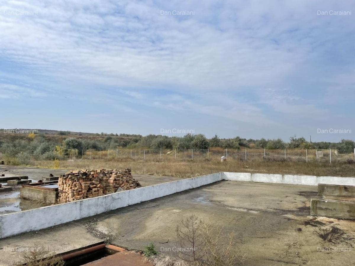 Ovidiu 6 ha teren intravilan construibil îngrădit și platforma betonata. - 9 Ovidiu 6 ha teren intravilan construibil îngrădit și platforma betonata. - 9