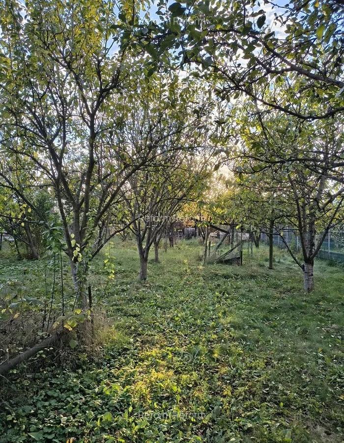 De vânzare casă cu teren 770 mp, în Dâmbul Rotund - 12 De vânzare casă cu teren 770 mp, în Dâmbul Rotund - 12