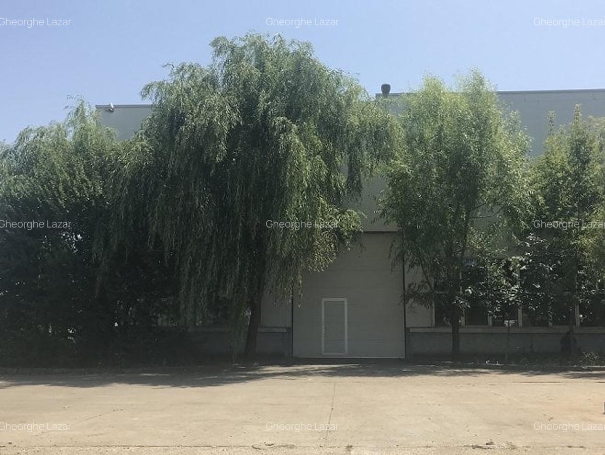 Spațiu industrial, 403 mp în Vest - 5