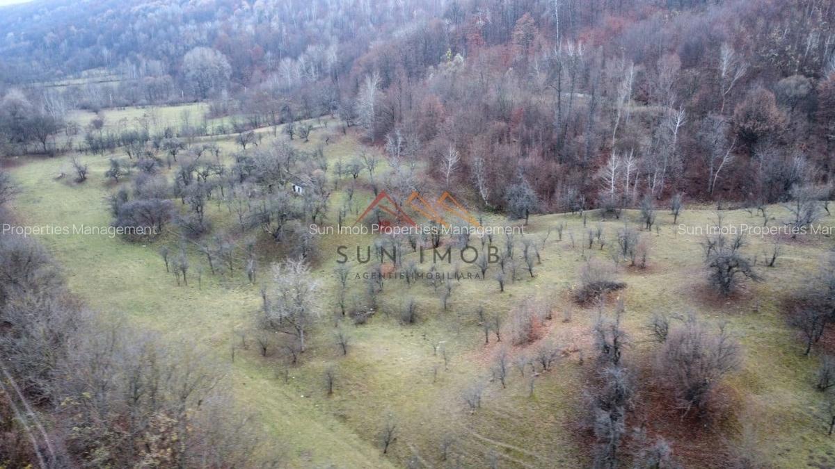 Teren Construcții intravilan de 36000 mp, în Provița de Jos - 3